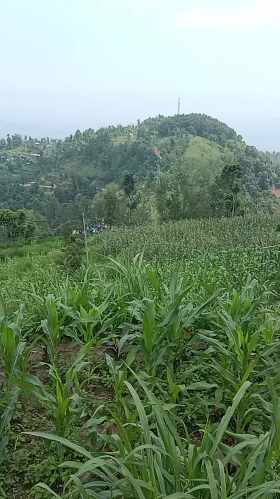 @भारद्वाज