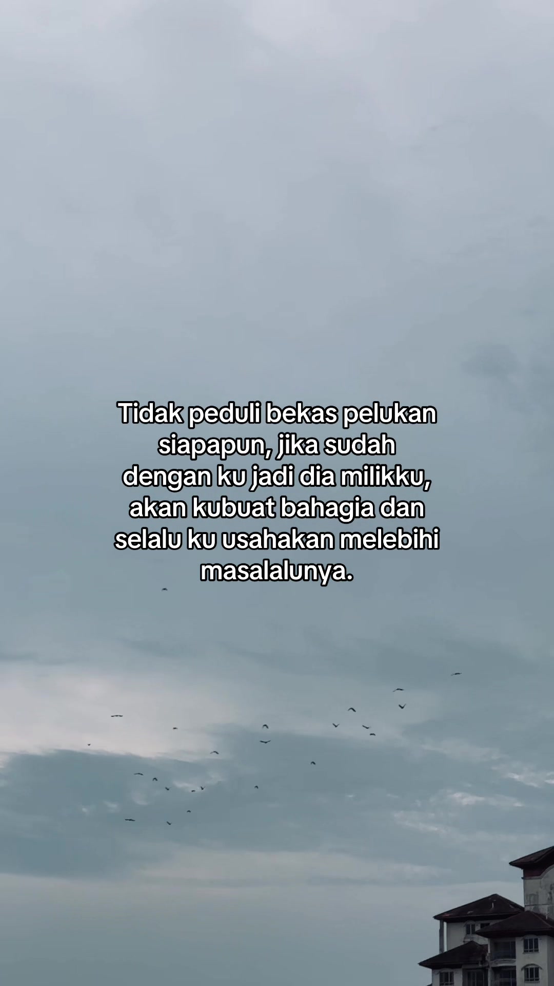 @Trinsomnia🦅