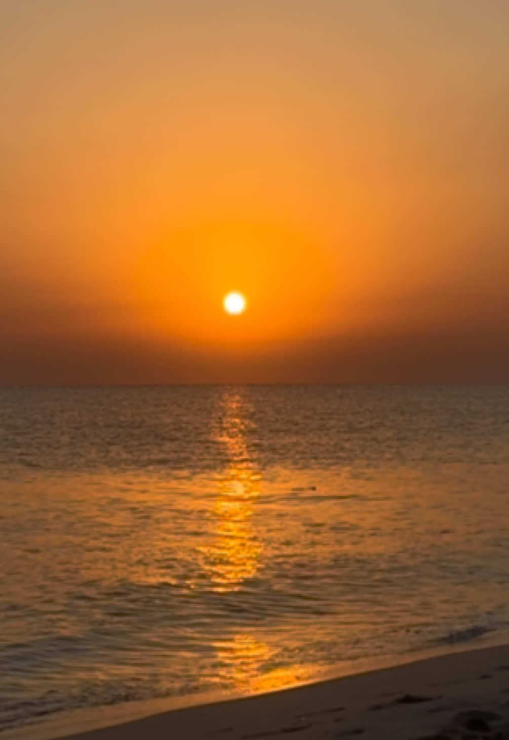 @كريستين ✹