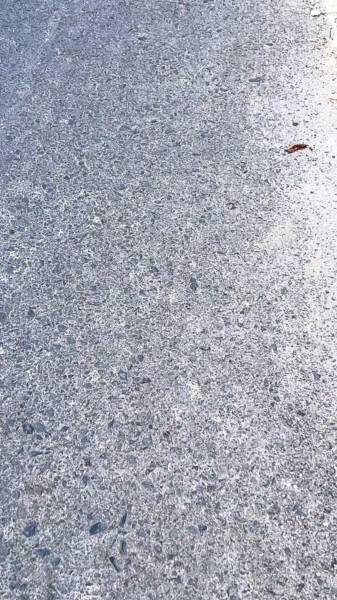 @𝗦𝗼𝘂𝗹𝗻𝗼𝘅𝘅𝗮