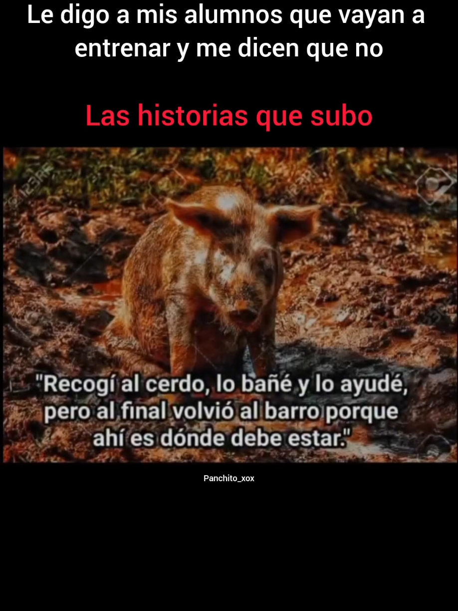 @Panchito Alvarado