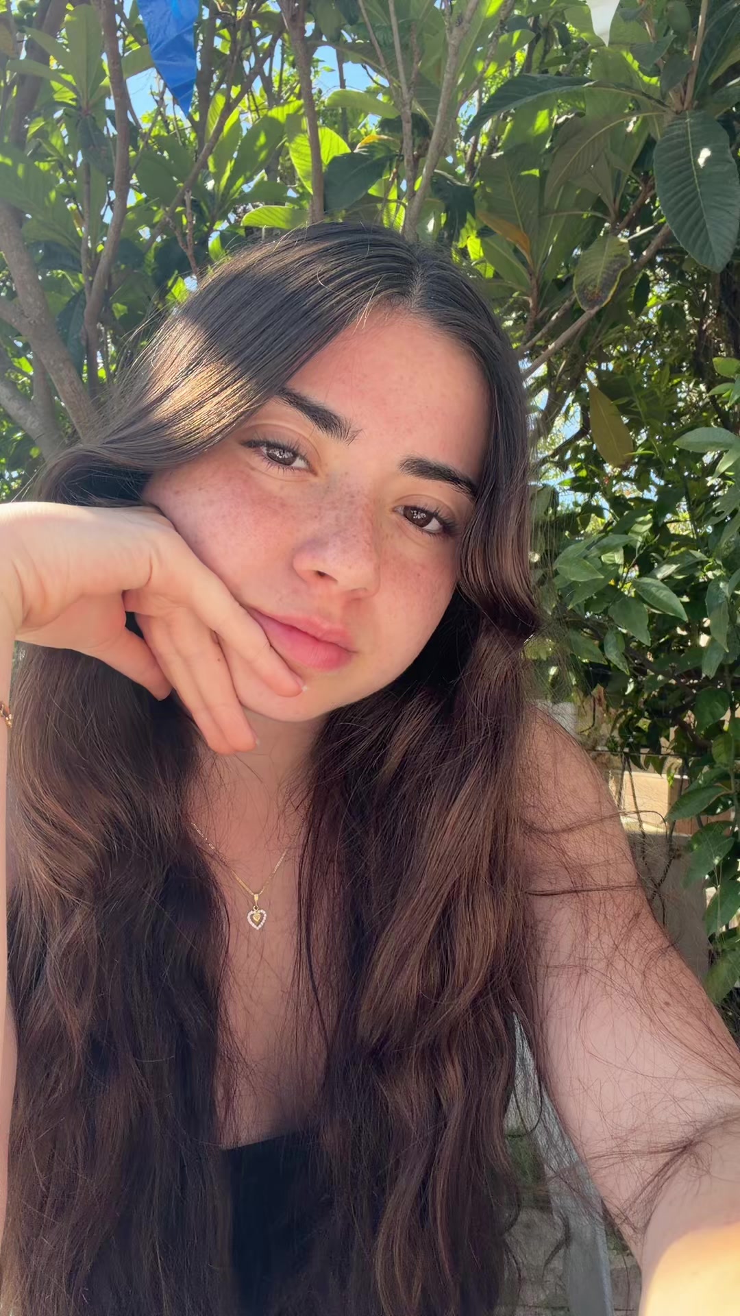 @danabrz610