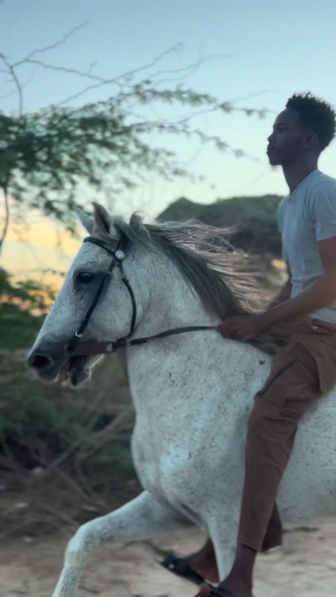 @Duliyaha🐎diyaradadhulka🇸🇴🐎