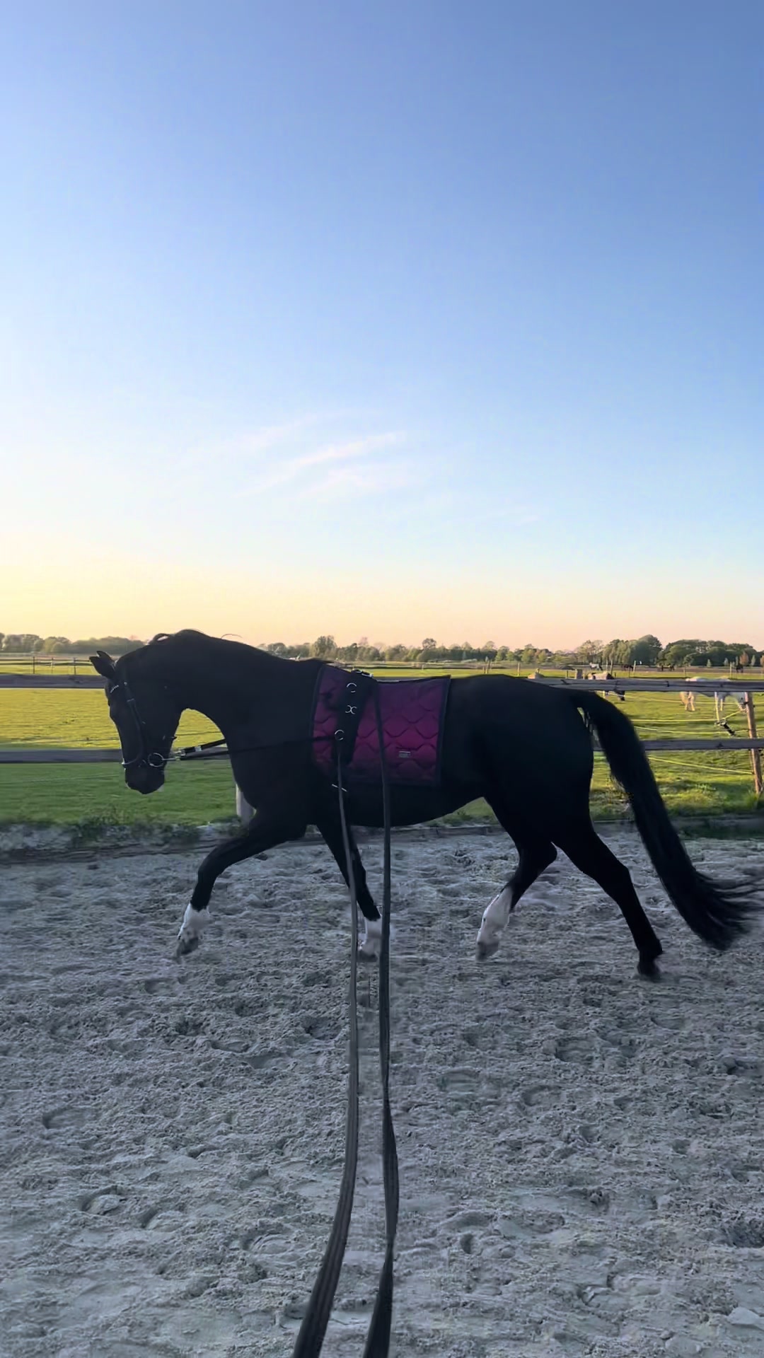 @🇳🇱Jill Kroet🇳🇱