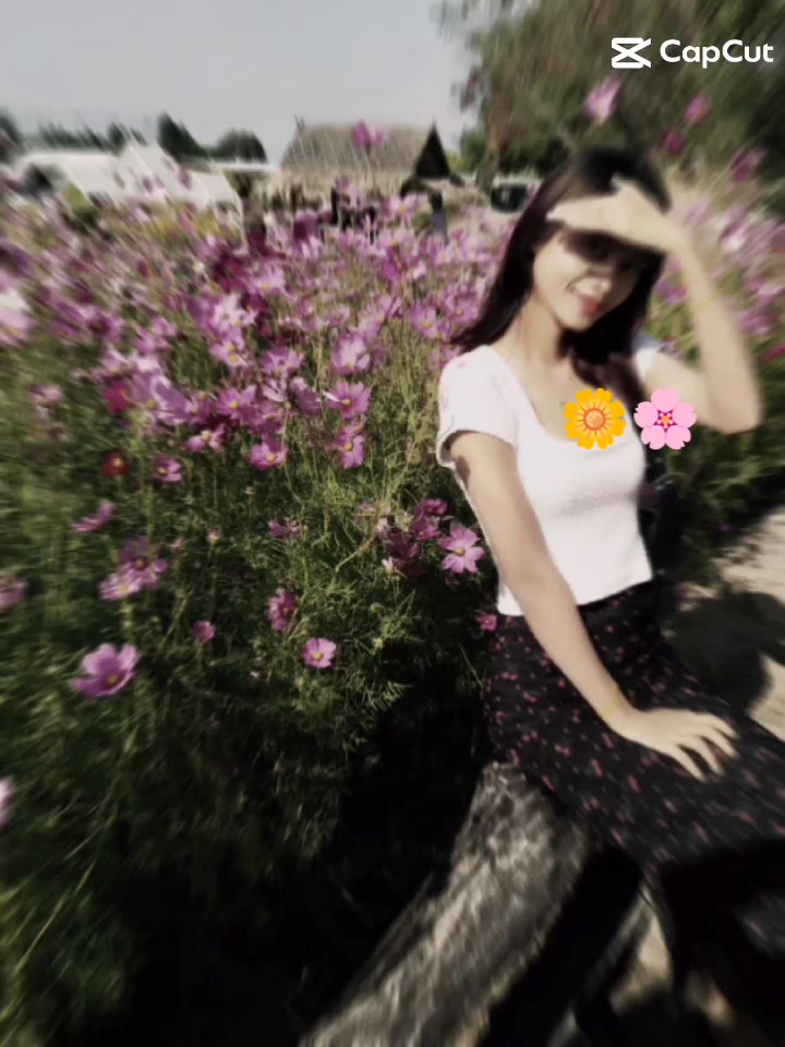 @đŚ