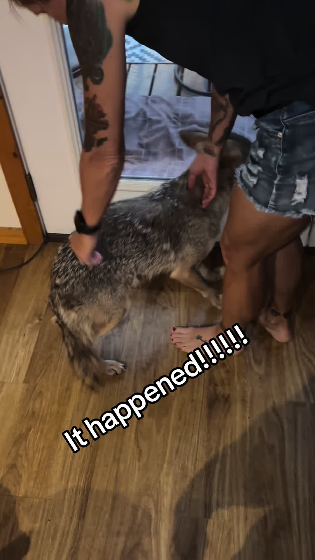 @ittybittyfarm1