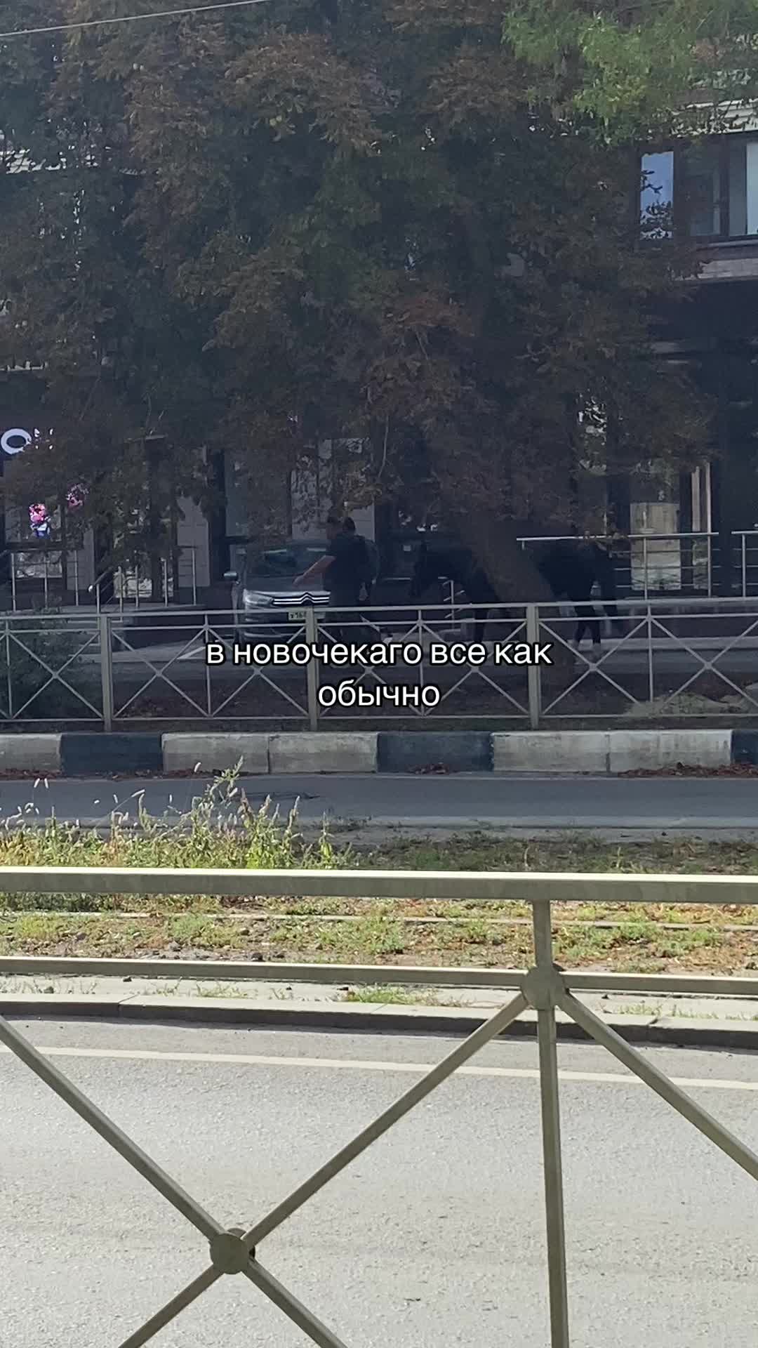 @шигуре🌑