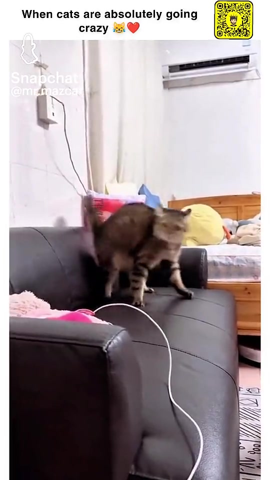 @Alina
