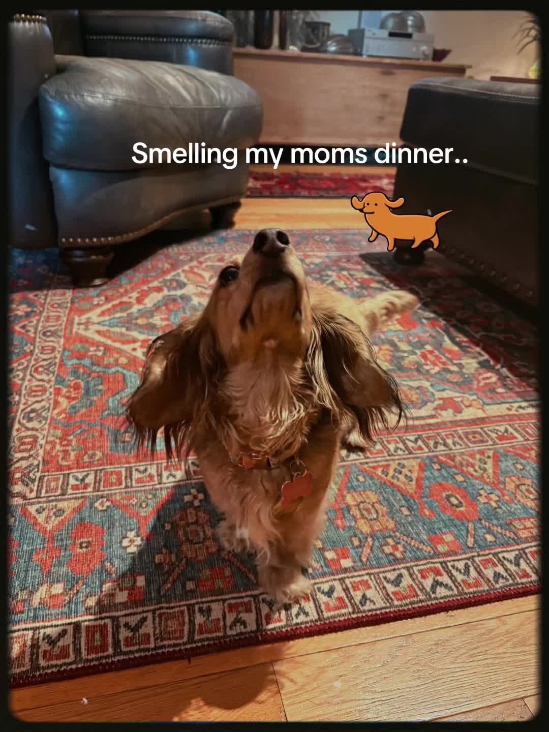 @Cricket Bug The Weenie