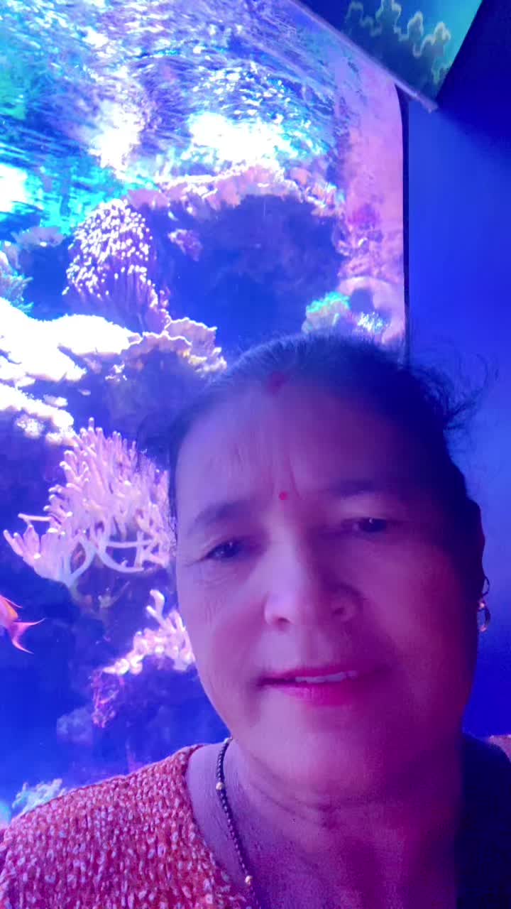 @tulasishrestha66