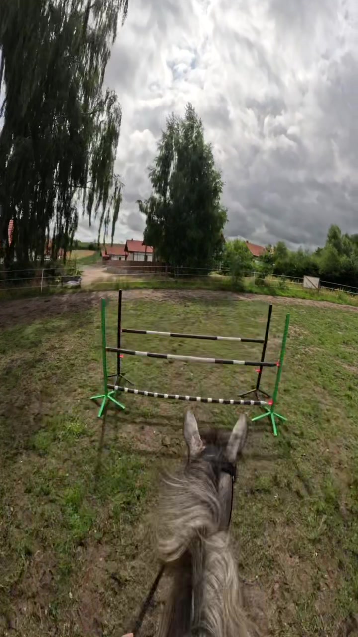 @Stajnia Miejsce Rozwoju