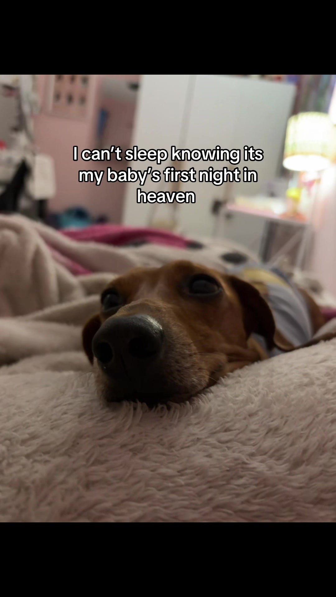 @𝓜𝓮𝓵𝓪𝓷𝓲𝓮