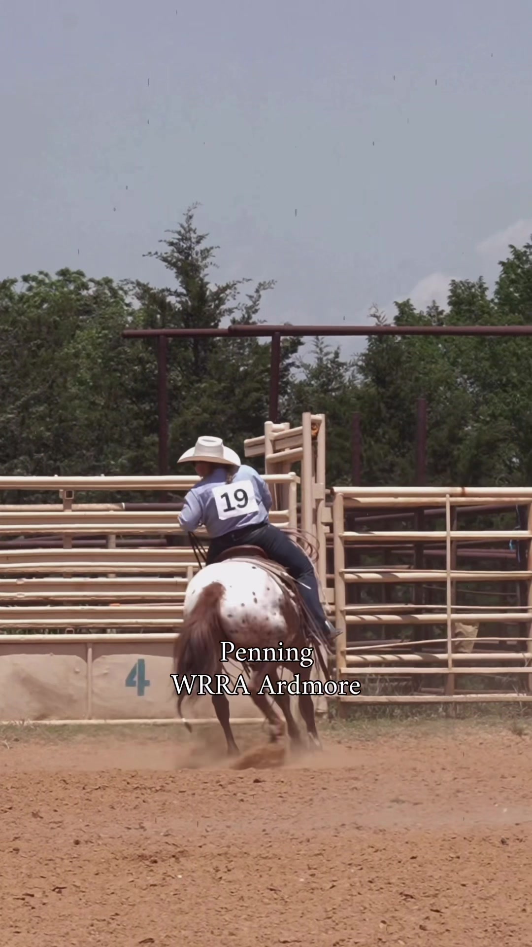 @Talk Rodeo To Me
