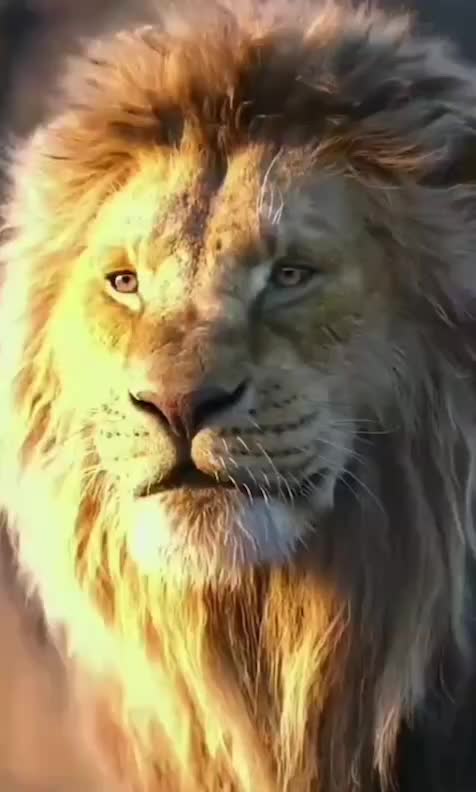 @ᕲᖇ. ᒚᓍᘉᘻᓰᘉ
