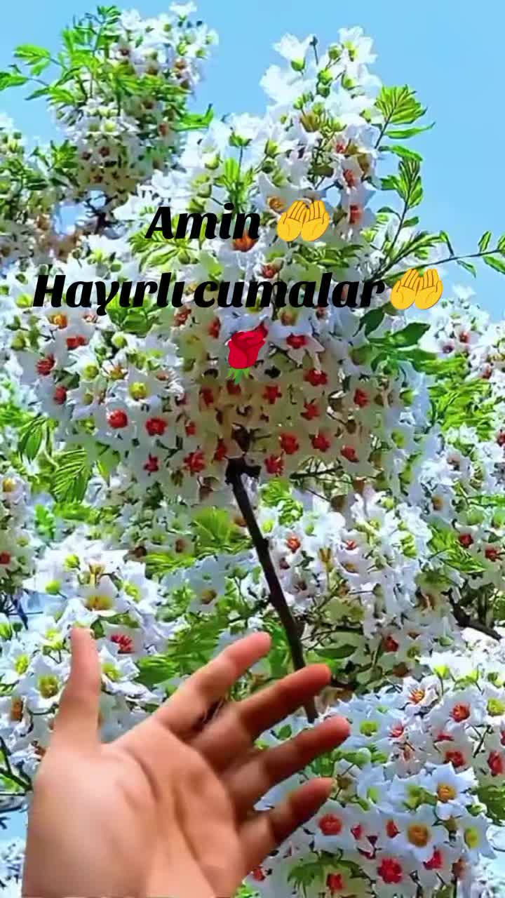 @Gülümse (✿◠‿◠✿)