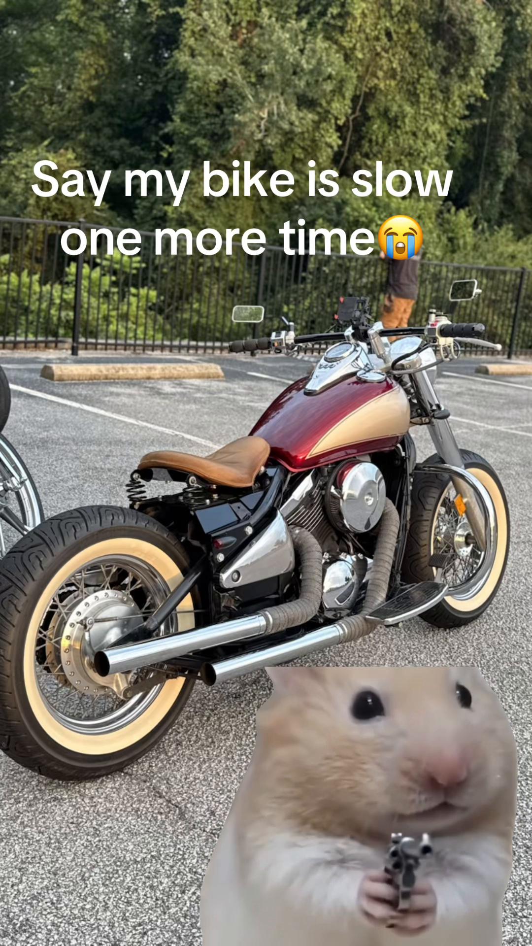 @𝓣𝓾𝓬𝓴𝓮𝓻 𝓛𝓮𝓰𝓰