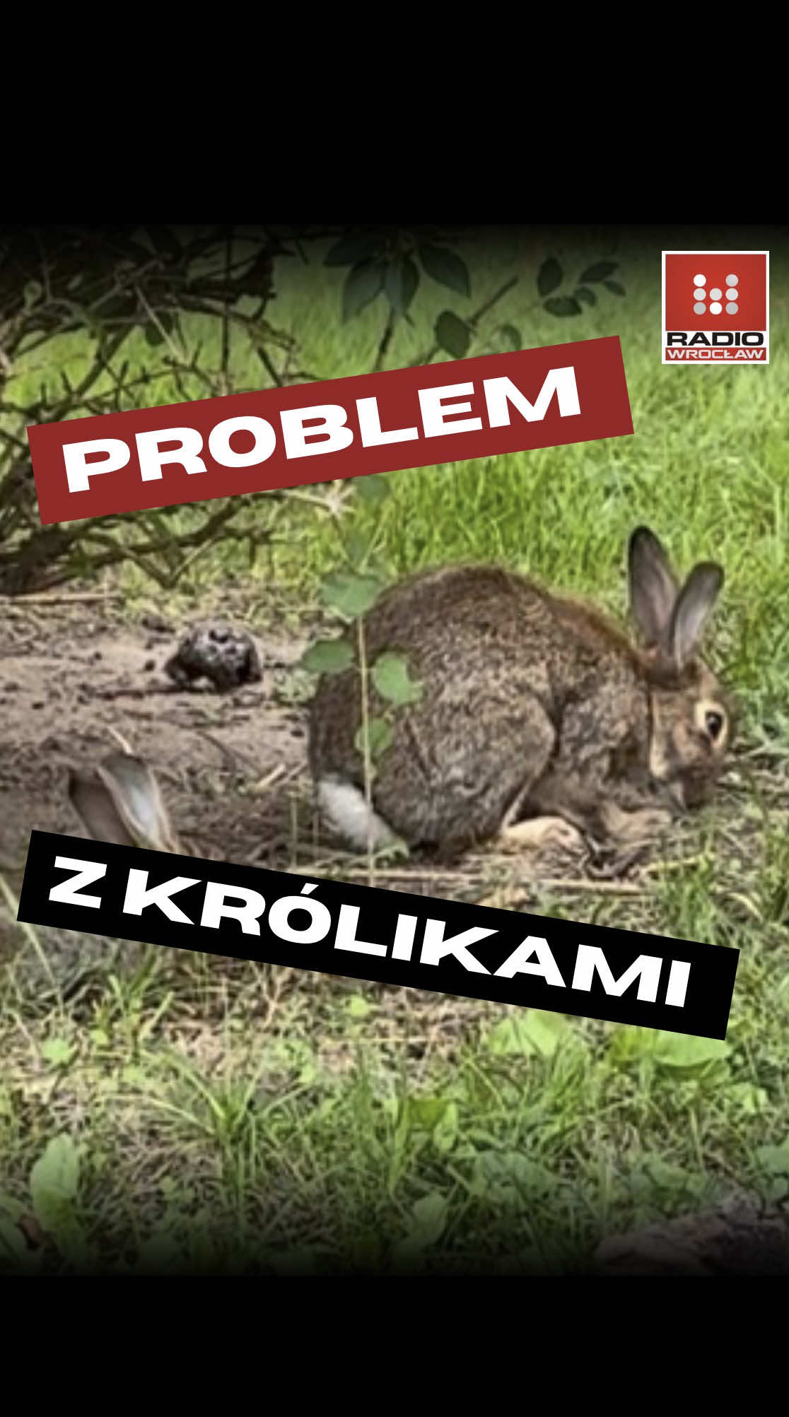 @Radio z Dolnego Śląska