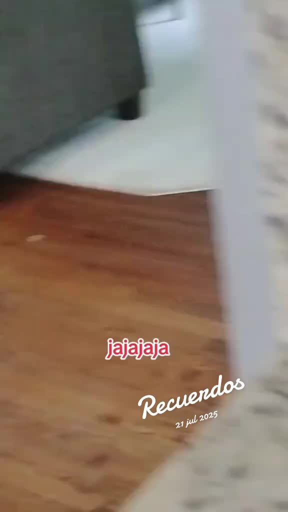 @el ave fénix
