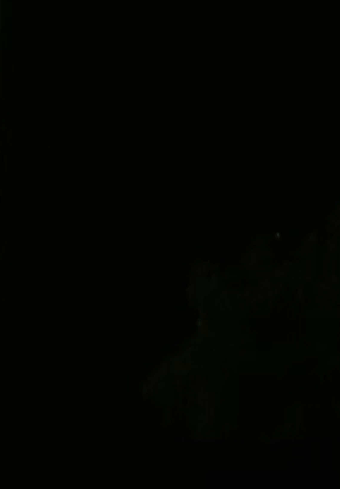 @یُـوسَــف