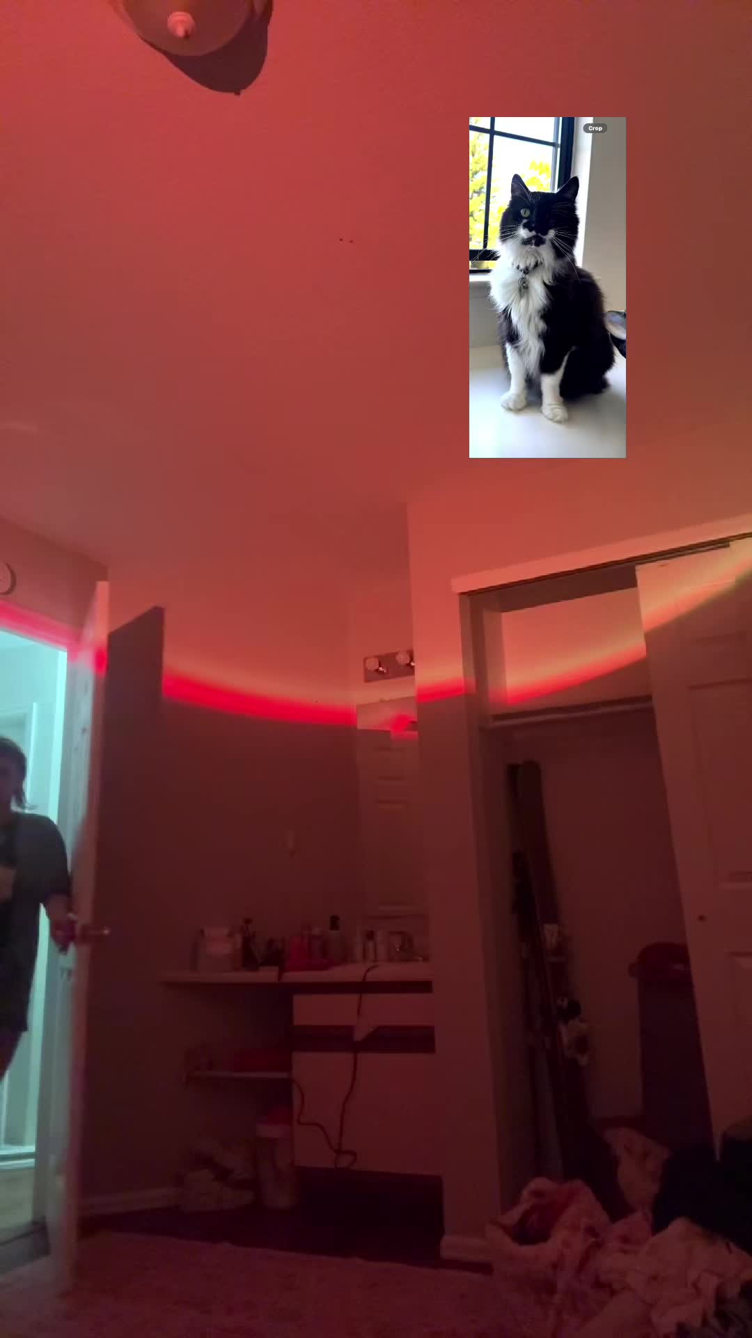 @JF🅿️