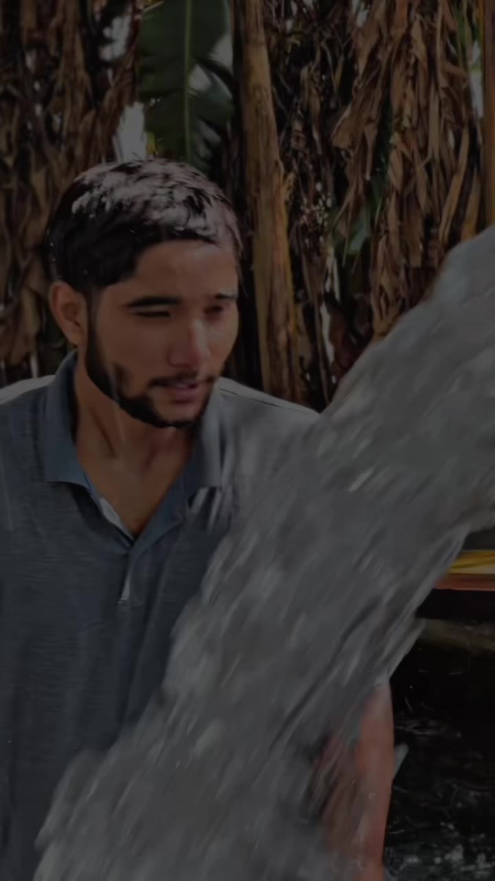 @CHOHAN 🐊