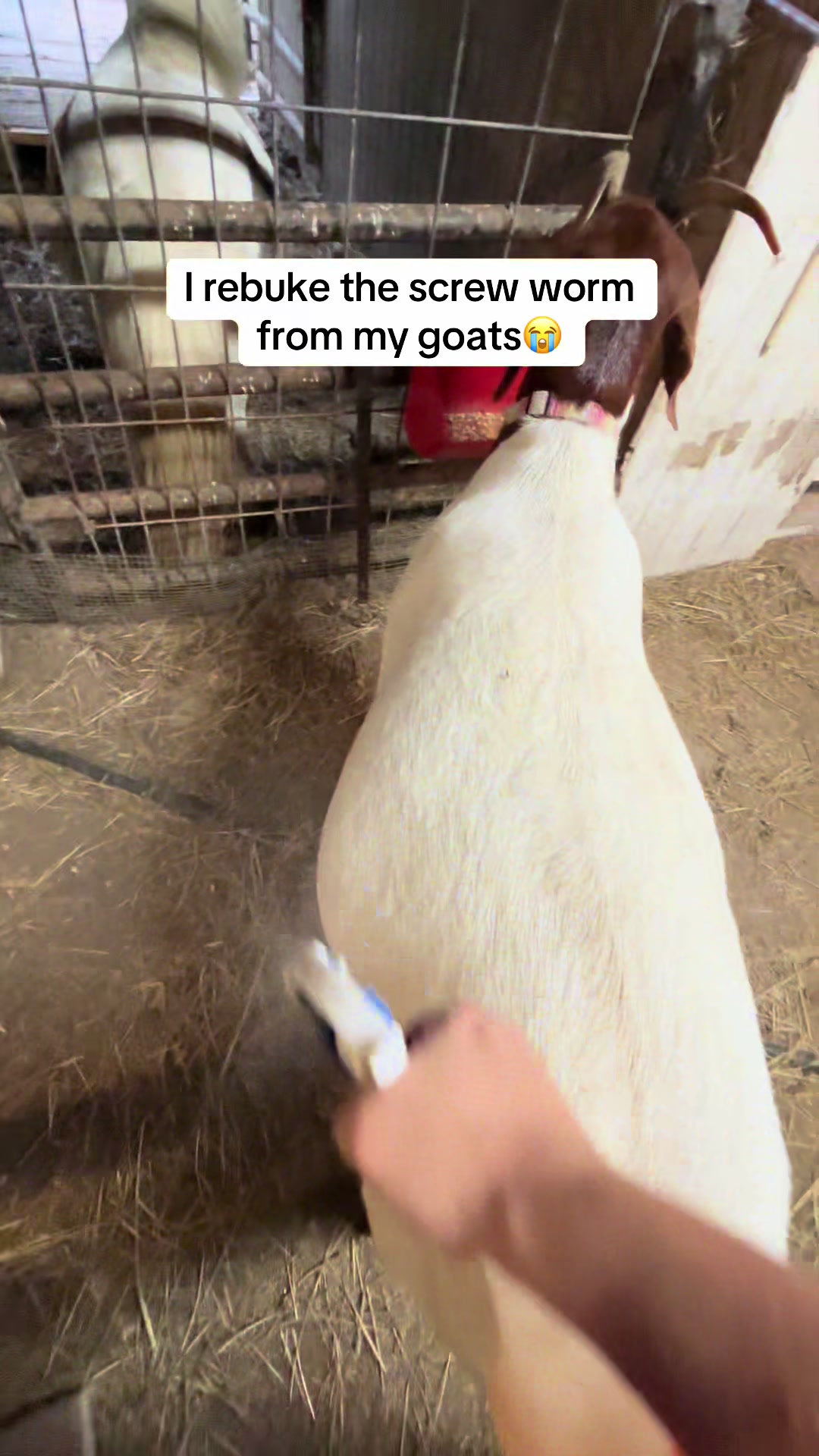 @Sarah ;)