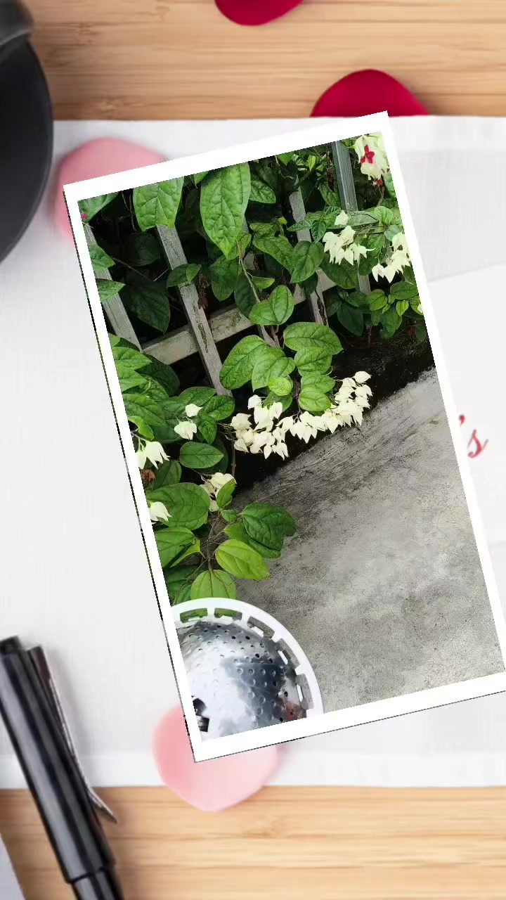 @Nguyễn Thiện Nhân