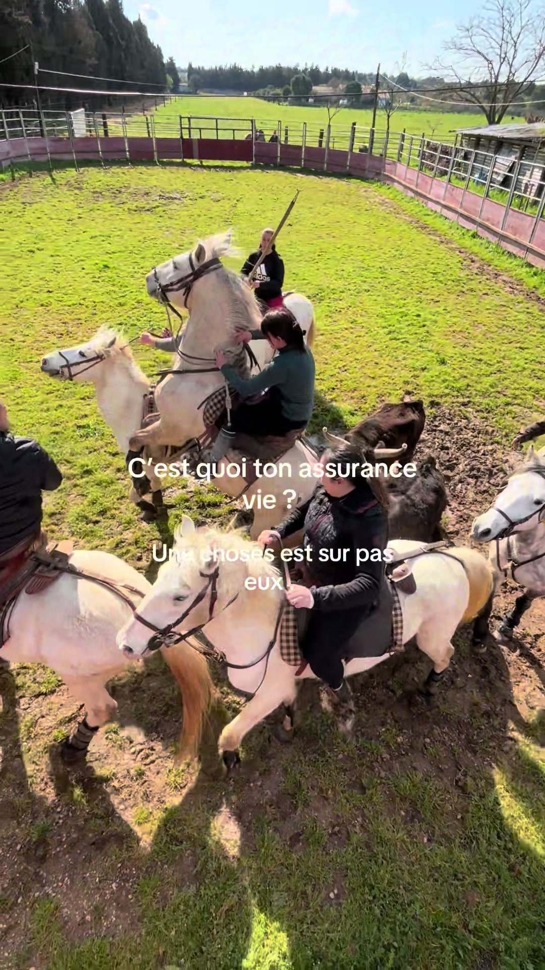 @Justinesaboureau2