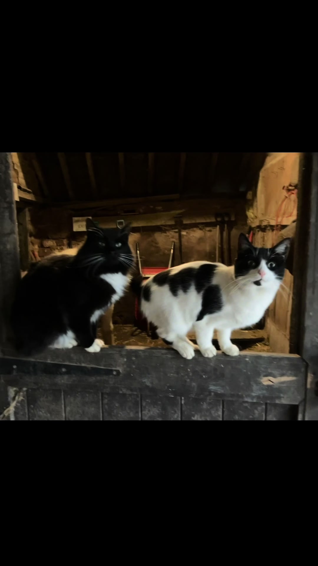 @Moor Farm Stables