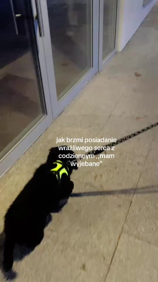 @julka