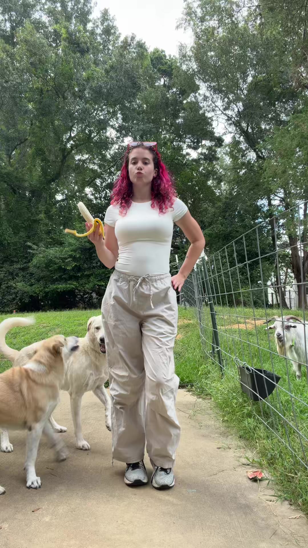 @🦭