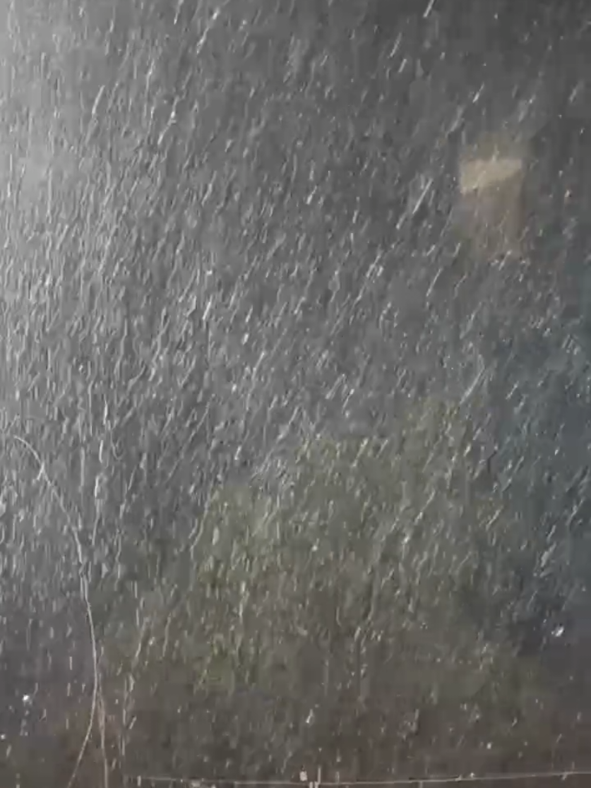 @Weather Insider