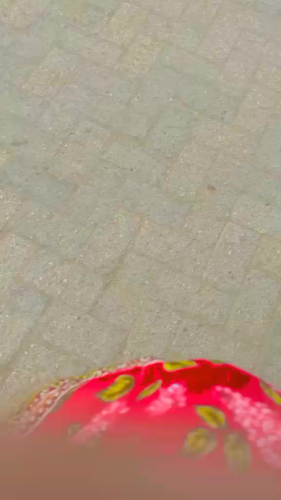 @راجا جي وڏيري