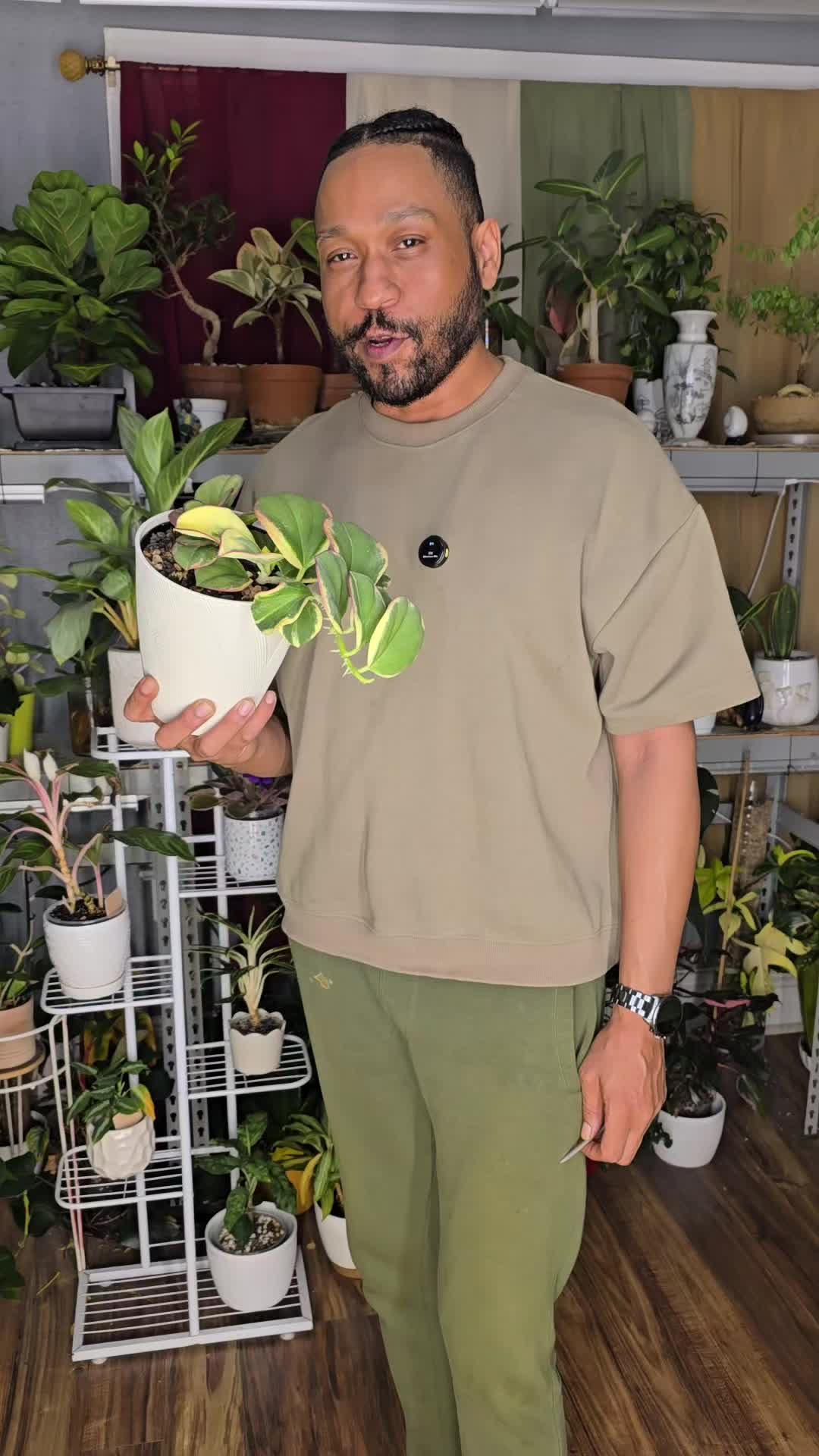 @JT - BigEGOPlants