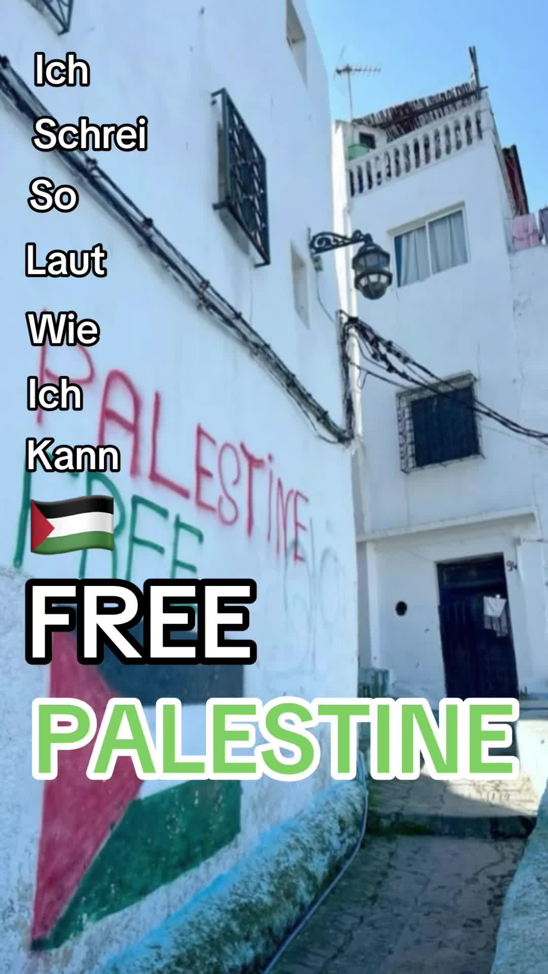 @🇩🇿❤️Amk❤️🇵🇸