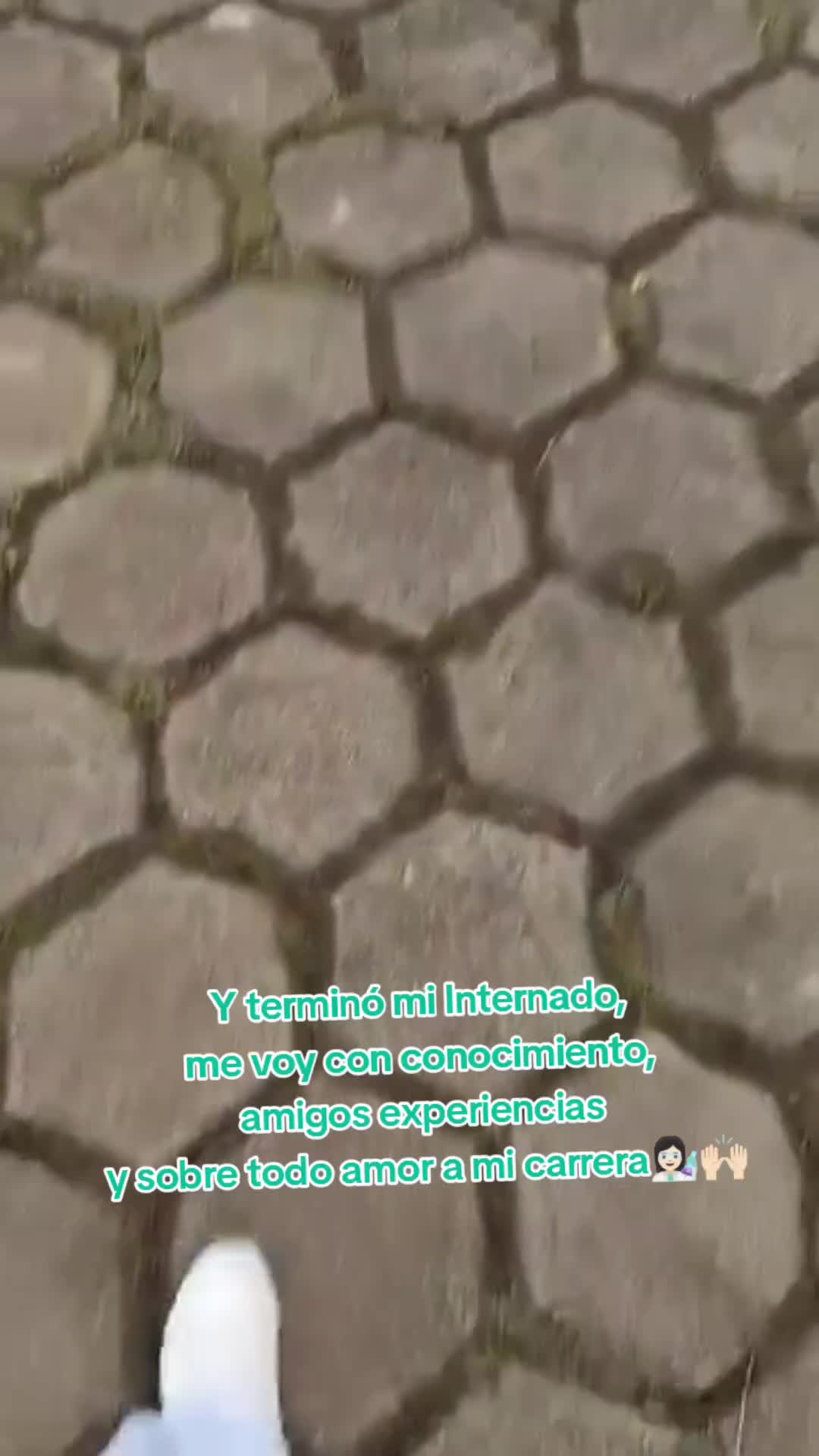 @Cinthia ZebF🍀