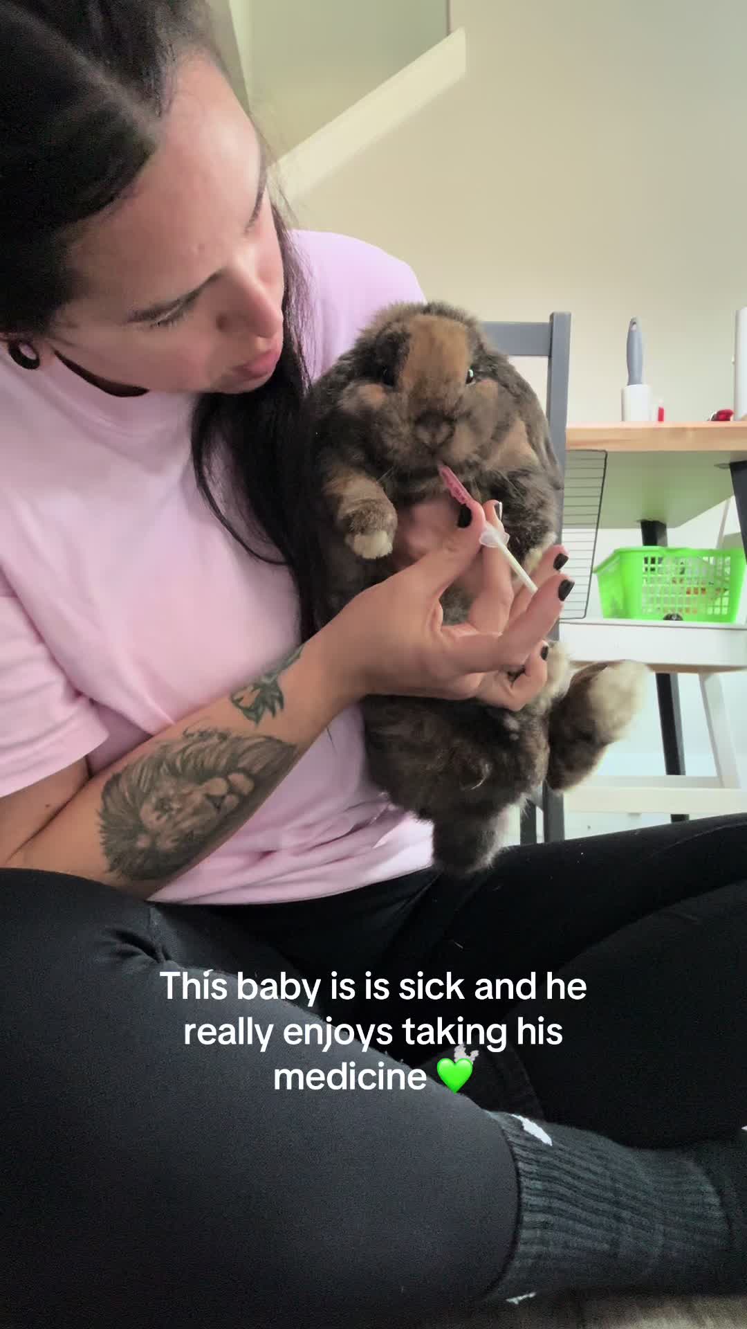 @Cookie and Twix the Bunnies