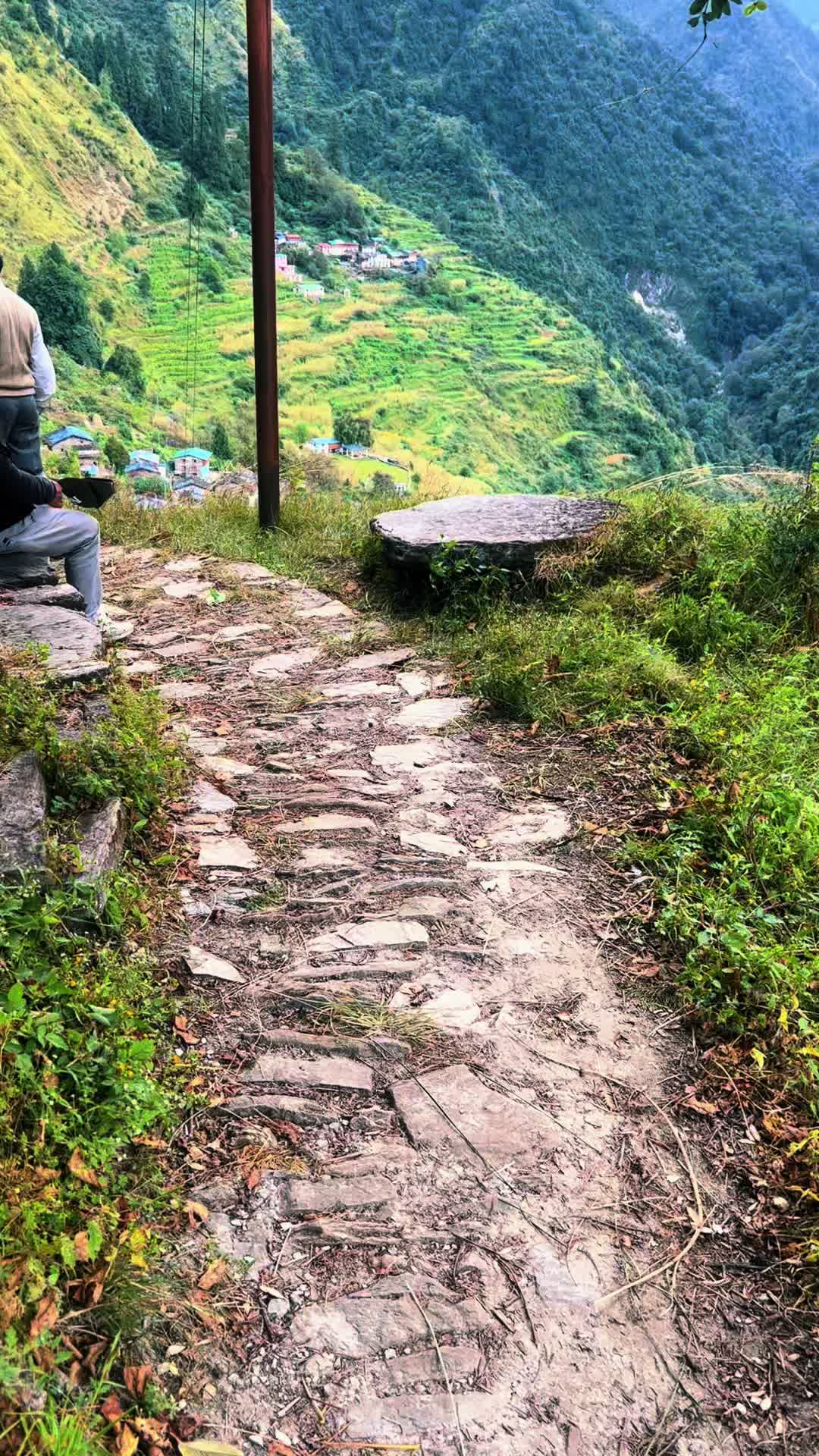 @थिँयाल 🌿
