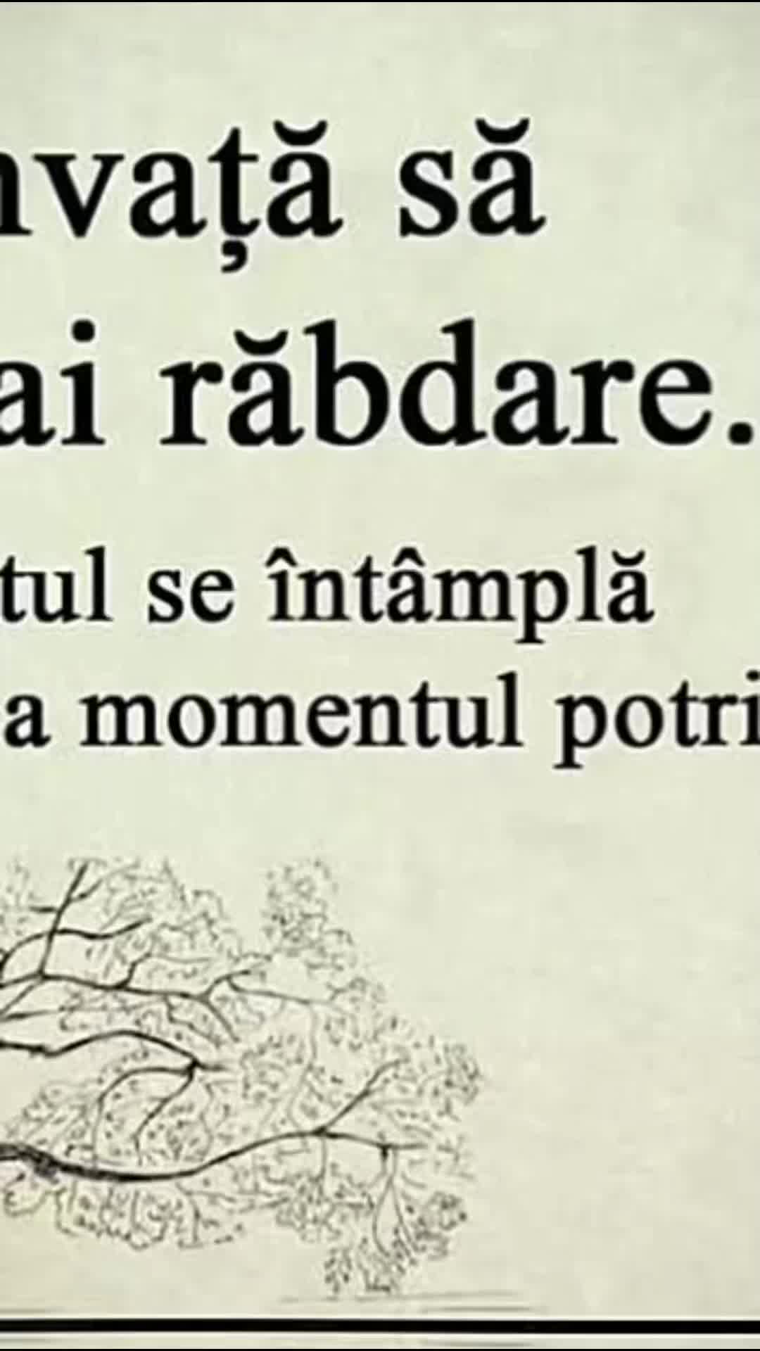 @Ruxandra Borcea
