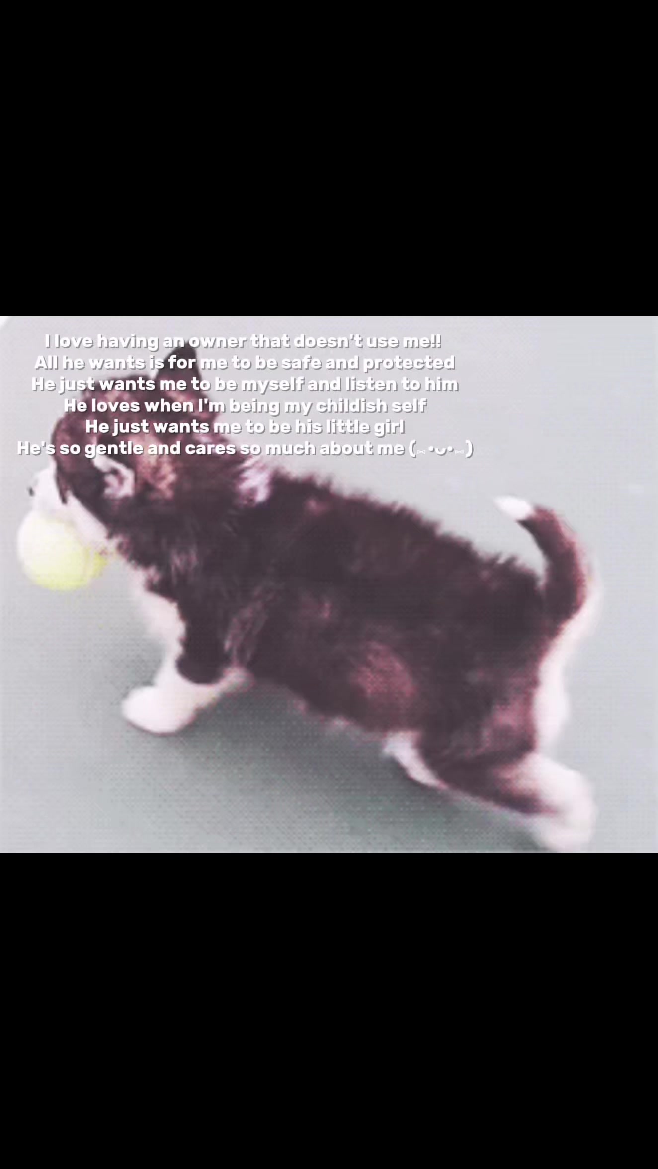 @⋆.𐙚 ̊ ꒰ 𝒫𝓊𝓅𝓅𝓎 ℊ𝒾𝓇𝓁 ꒱