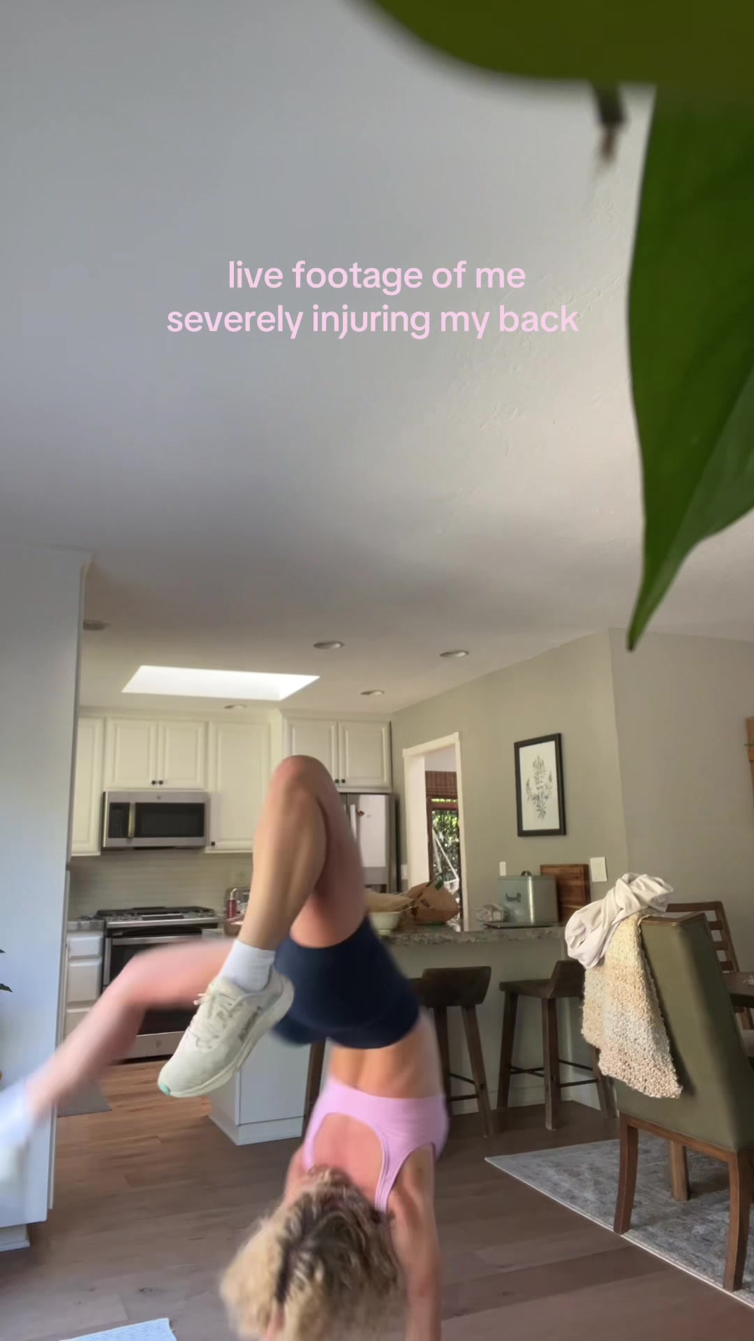 @kombucha lover