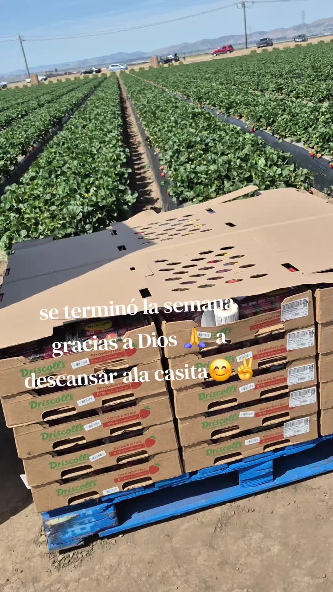 @💙🖤🍀🦋Camarillo Ad🍀💙🖤