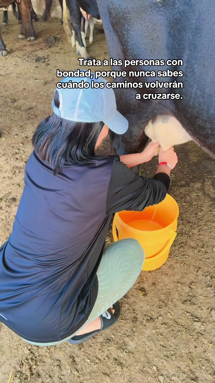 @soygreisp