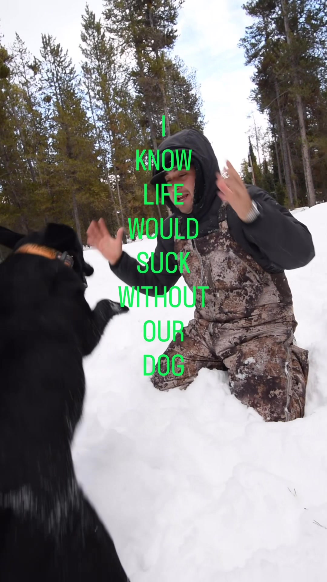 @Life with Luna🐾