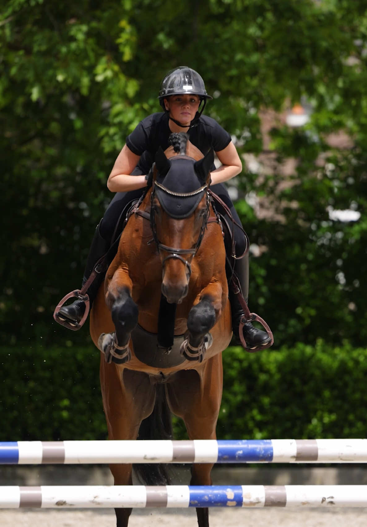 @Maximilian Equestrian