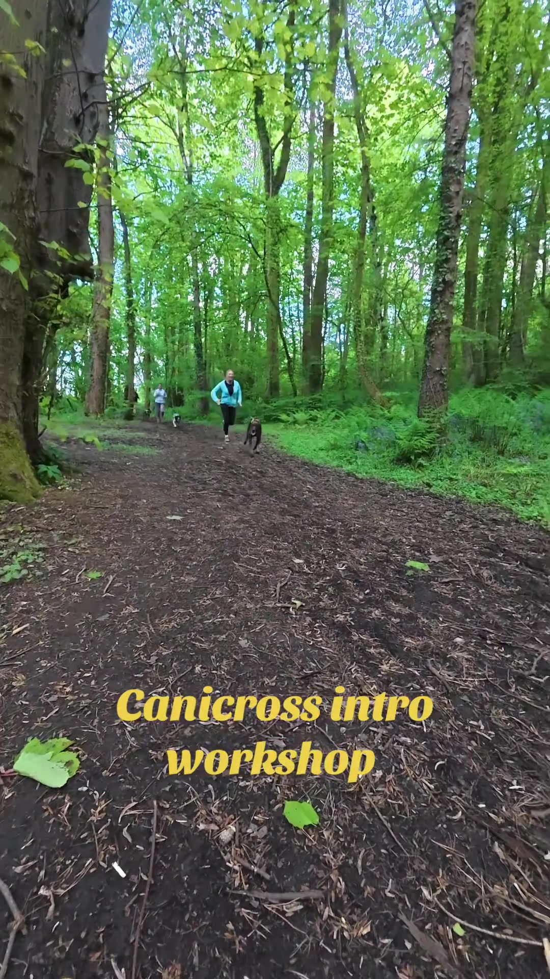 @Lindsay-CaniFit