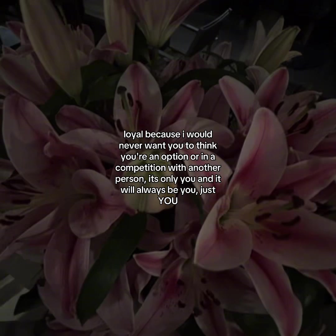 @yonmiz