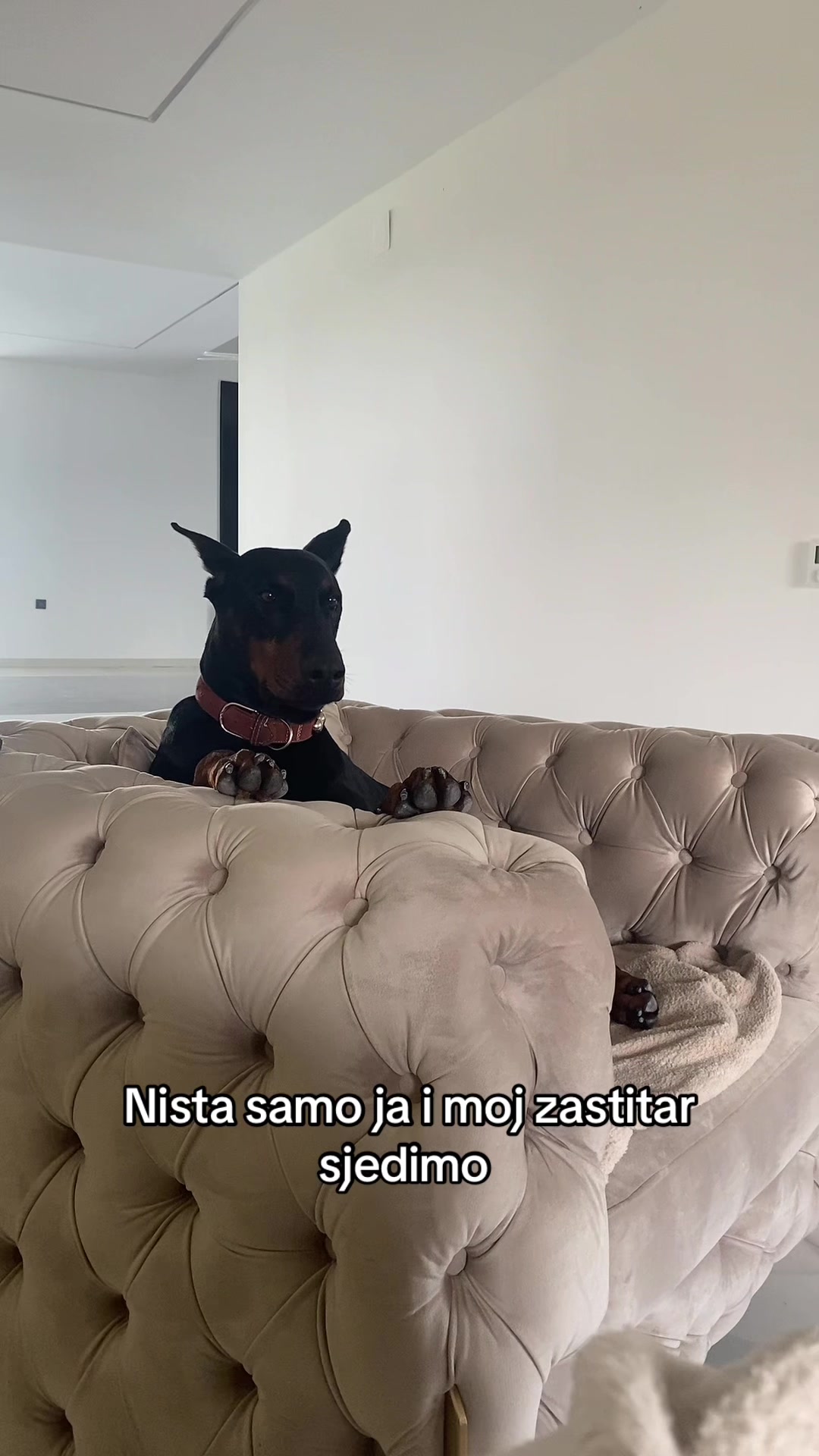 @Gabz