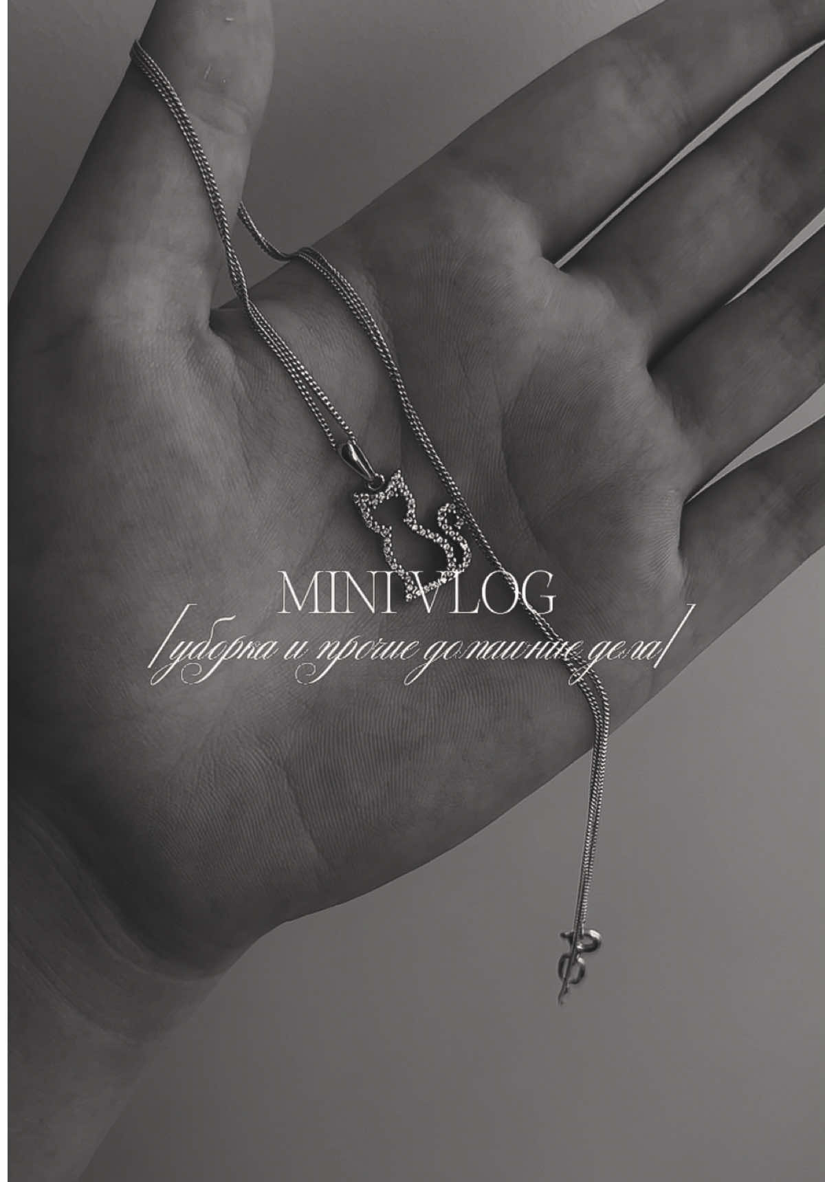 @lelu⋆˙⟡