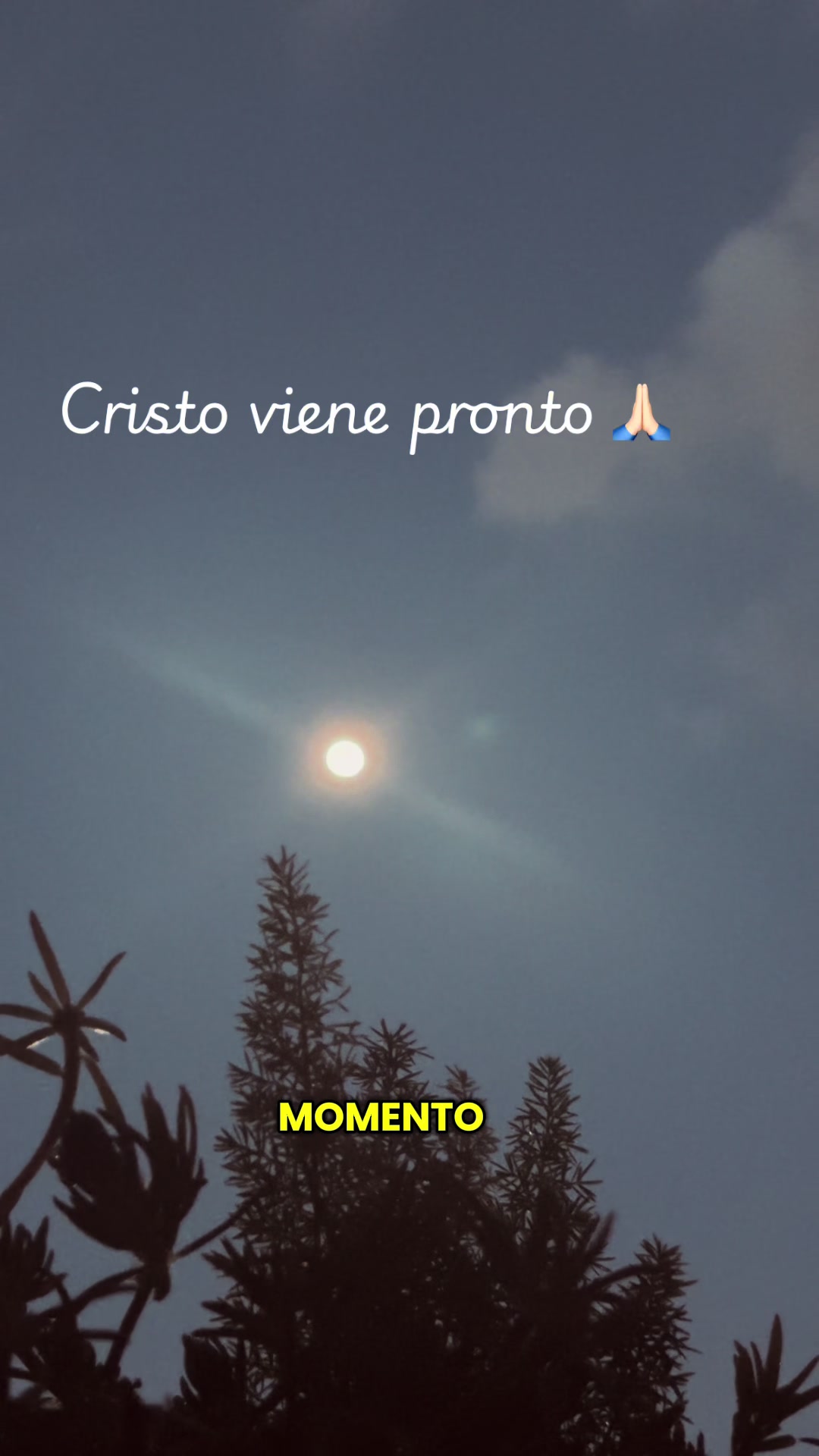 @Elizabeth crzm01♥️
